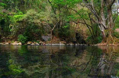 ¡Sumérgete en la Historia y la Naturaleza en el Parque Nacional El Cielo!