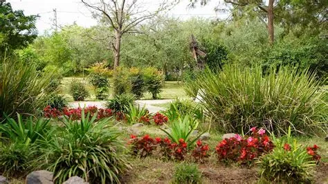  El Jardín Botánico de Münster: Un Oasis Verde para los Amantes de la Naturaleza y la Historia